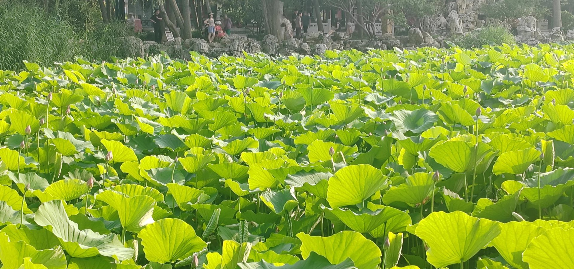 荷香婚庆